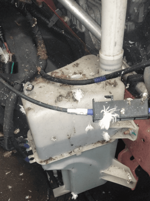 MG HS 2019-2022 GENUINE WINDSCREEN WASHER BOTTLE WITH MOTOR COMPLETE - Image 2